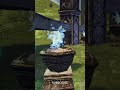 Elven Village — начальная деревня эльфов, место, где светлые эльфы делают свои первые шаги.