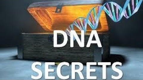 Unlocking the Secrets of DNA Genetics!