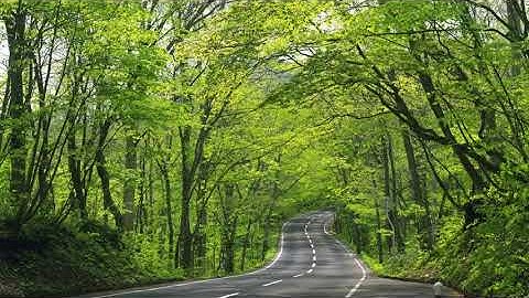 سورة الكهف- عبدالمجيد الدليمي ١٤٣٨هـ