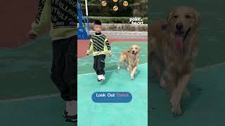 Dog Does Dance Step With Kid