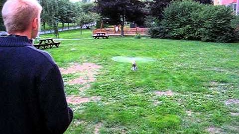 Björn first testflight, t-rex 700e