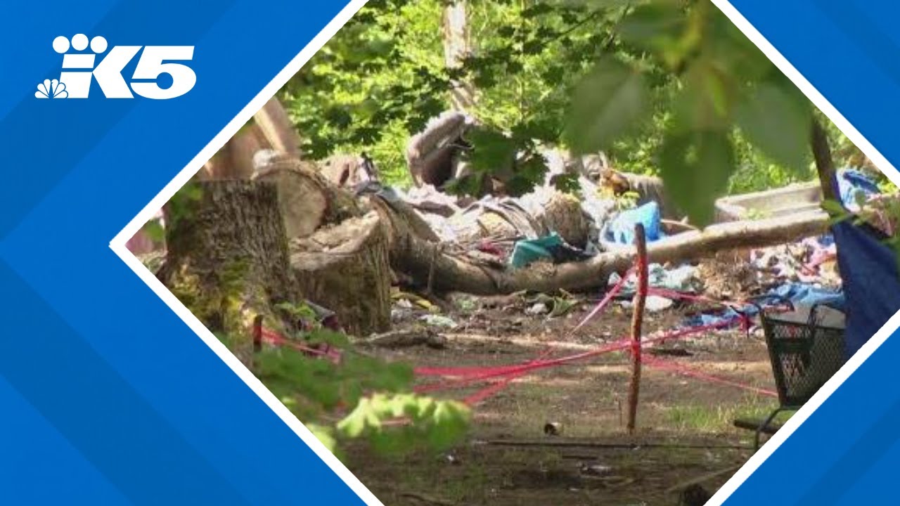 4 people arrested in 'disturbing' assault at Olympia encampment