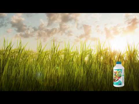 Video TVC SILIMAX_CỨNG CÂY DÀY LÓNG - youtube