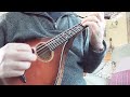Miniature de la vidéo de la chanson The New Copperplate