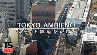 【東京鉄道駅の風景】 60 Minutes of Tokyo JR Train Station Ambience