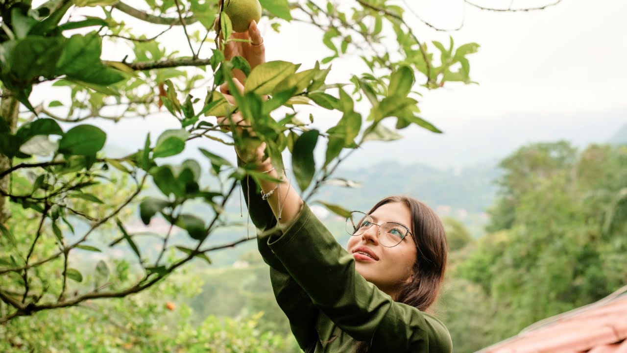 🍃 ¿Por qué te gustaría vivir en La Vega? ❤️✨