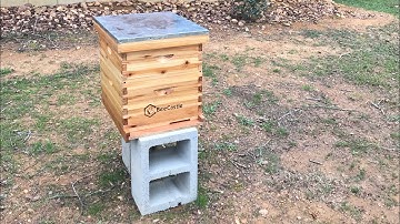 Installing bees…first time. Not as easy as the videos made it look.