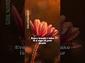 SOUL NOURISHMENT || FR JESU KUMAR
