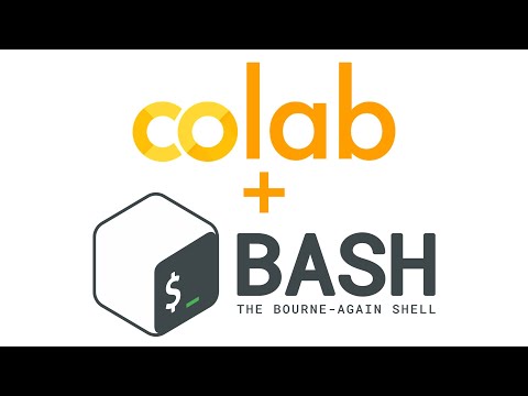 Google Colab - An Intro to Bash Scripting!