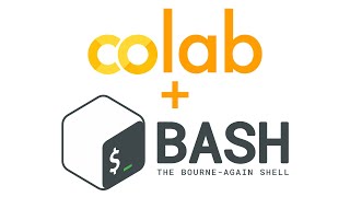 Google Colab - An Intro to Bash Scripting!