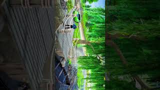 Madout 2 Newupdatenew Place Add New Feature Drone Mode Shoot Download Now