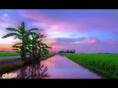 Bije Damba - Timala. Lagu Bidayuh