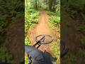 Washington state MTB