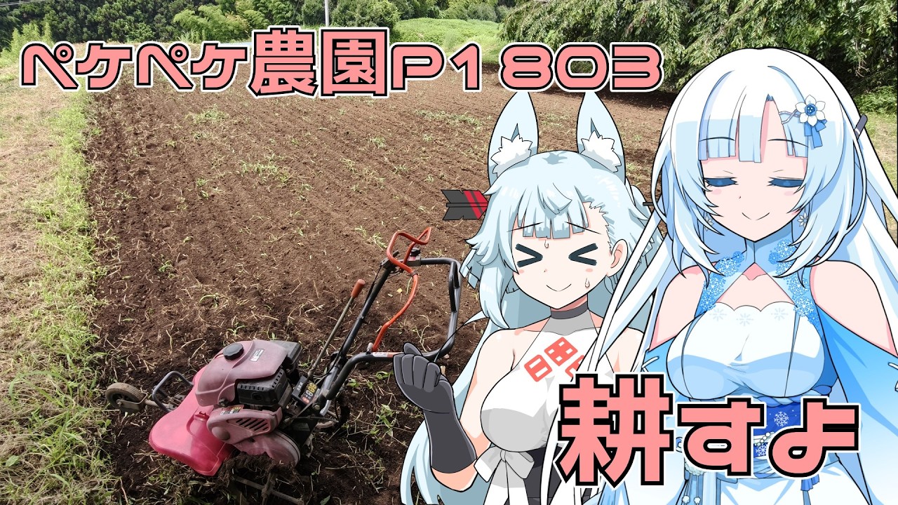 2026年7月31日　日記1803　暑いような気もするけど耕運機で耕すよ