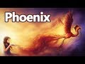 Phoenix the bird that is reborn from ashes  mythological bestiary 06  see u in history