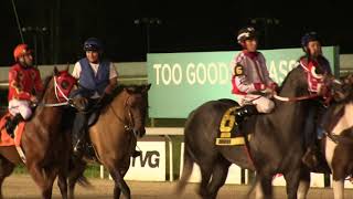 2018 Delta Downs Louisiana Bred Derby(RG3) Recap- Stallionesearch.com