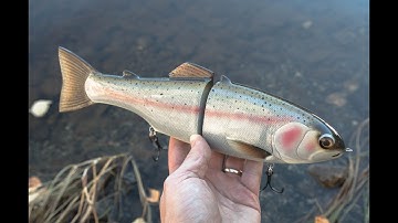 Lure making | The Leviathan trout swimbait and the tale of 10.000 scales