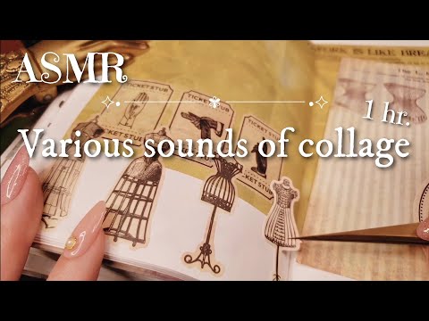 ASMR｜コラージュの色々な音/Various sounds of collage｜sleeping,Relaxing, 睡眠,作業,BGM