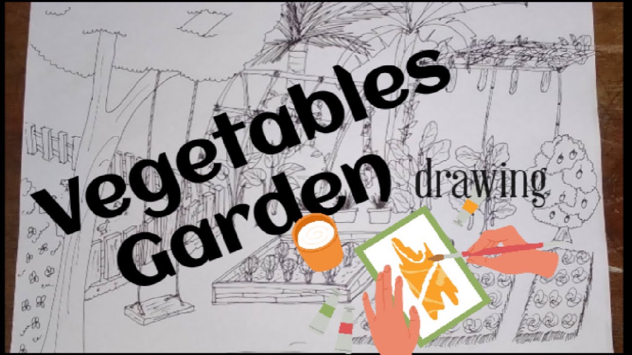 138500 Garden Sketch Stock Photos Pictures  RoyaltyFree Images   iStock  Vegetable garden sketch Landscape garden sketch