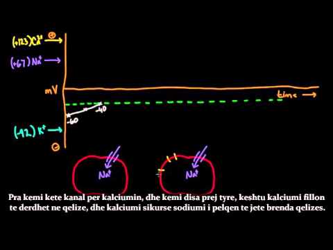 Video: Si përhapen potencialet e veprimit kardiak nëpër zemër?