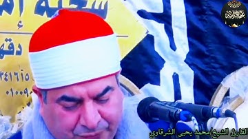 النغمة الشهيرة للقارئ الشيخ/محمد يحيى الشرقاوى الصوت المغرد ❤️🌹❤️
