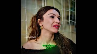 Şahinin Nareyi Sürekli Kıskanması Şehir Çankaya Şaş