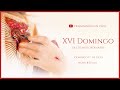 ✝️ XVI Domingo del Tiempo Ordinario | Misa en VIVO ✝️