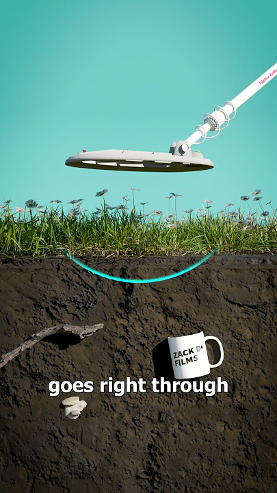 How Metal Detectors Work 🤔