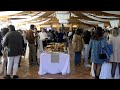 100 parejas participan en la feria de novios del mirador de la mancha de villarrubia de los ojos