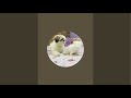 Daisy-Flory-Vlogs is live