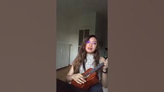 A Dream is a Wish your Heart Makes (English/French)