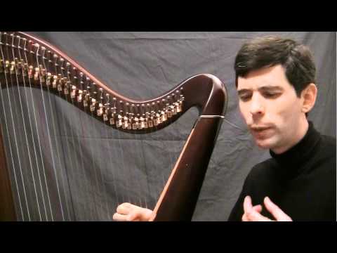 Your first harp lesson - getting ready to play the...