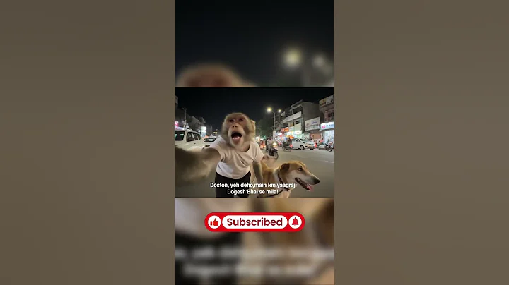 Monkey Vlog at Prayagraj | Part 5 | #monkey #vlog  #veo3 #shorts #ai