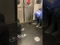 Hilarious pigeon rides NYC subway and gets off right at its stop