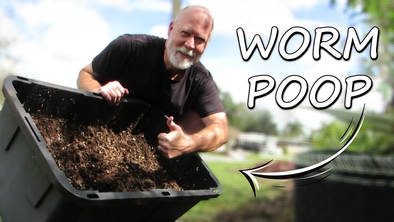 I made my own worm compost (harvest, use DIY vermicast)