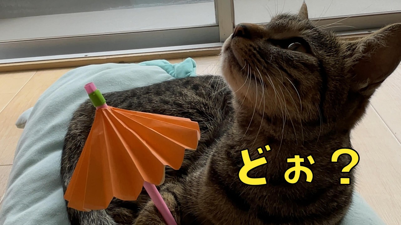 モデルになってしまった？レモン