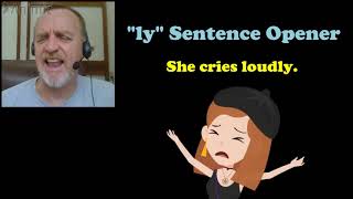 Series 1: LESSON 12 - Sentence Opener Introduction and Building Simple Sentences