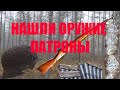 НАШЛИ ОРУЖИЕ И ПАТРОНЫ. Коп по войне. Волховский Фронт.