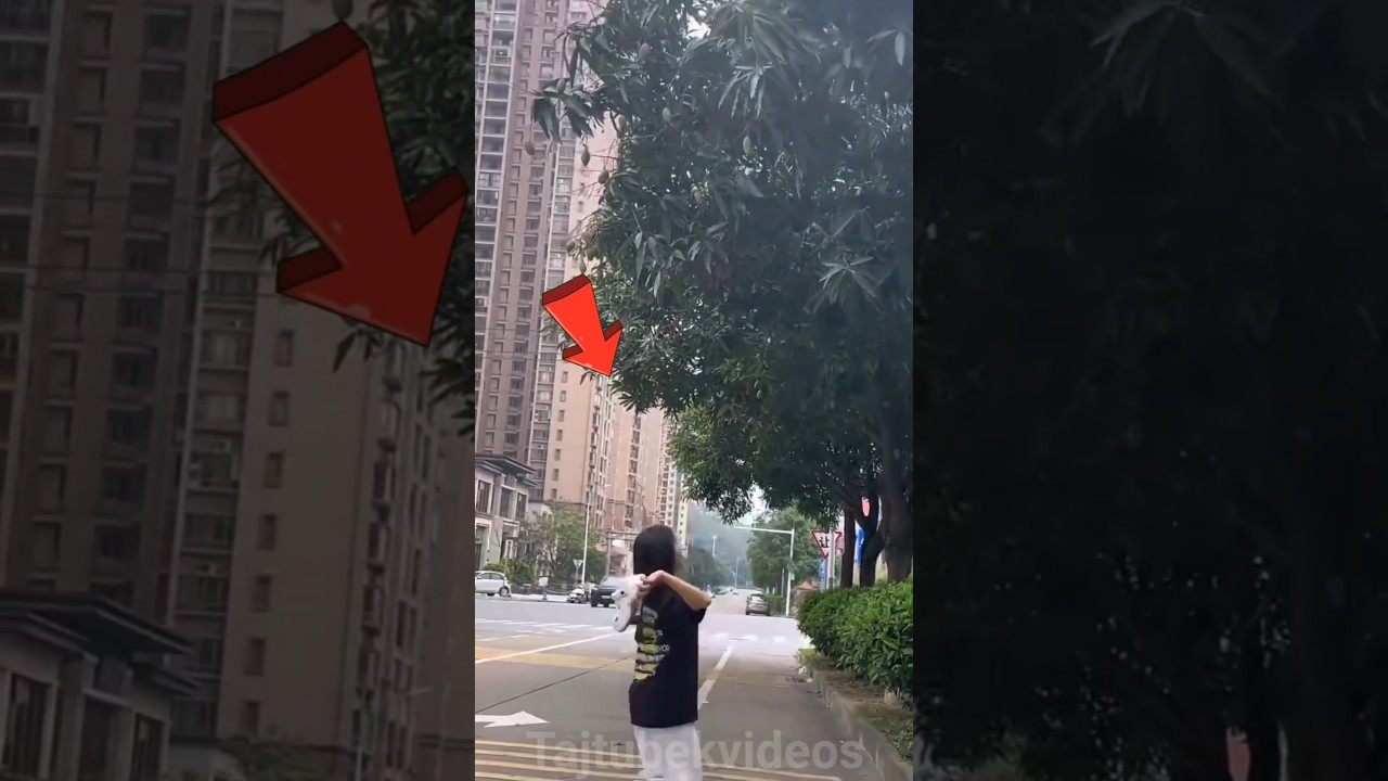 The girl lost her shoes while plucking mangoes 