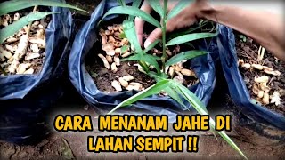 Aku Jadi Petani‼️[Reupload from 2023]