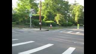 New Crosswalk Signs_1919.AVI