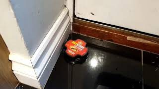 Antstop Ant Trap Bait Station Timelapse