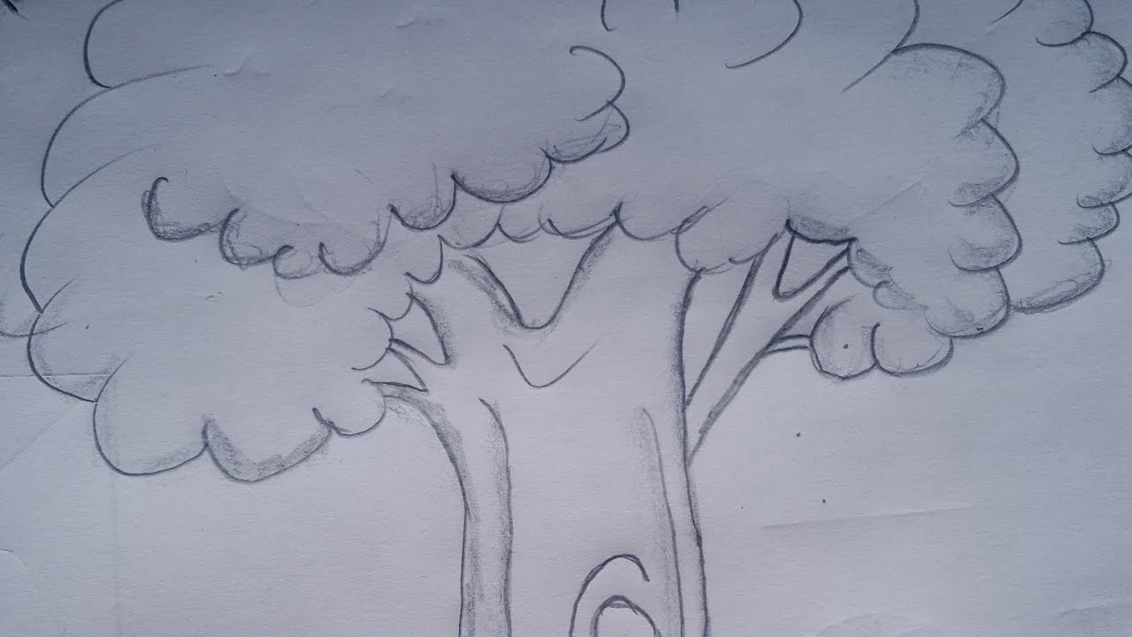 Draw a beautiful tree - YouTube