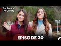 Game Of My Destiny Episode 30 English Subtitles Game Of My Destiny Episode 30 English Subtitles