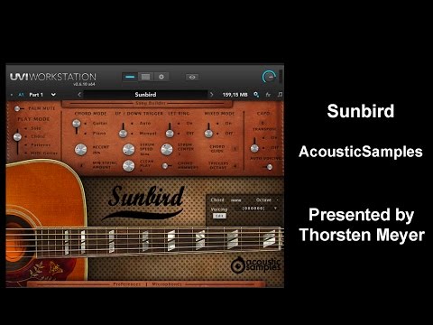 Sunbird from AcousticSamples