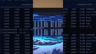 Mastering the Linux 'kill' Command: Unleash Its Power with '-9' #linux #linux_tutorial #linuxbasics Wealth