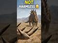 “Stegosaurus was NOT Harmless 😳” #shorts #dinosaur #facts #animals