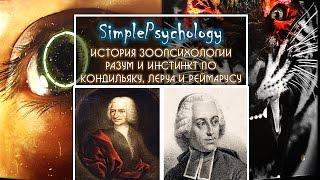 История зоопсихологии. Инстинкт и разум по Леруа, Кондильяку и Реймарусу.