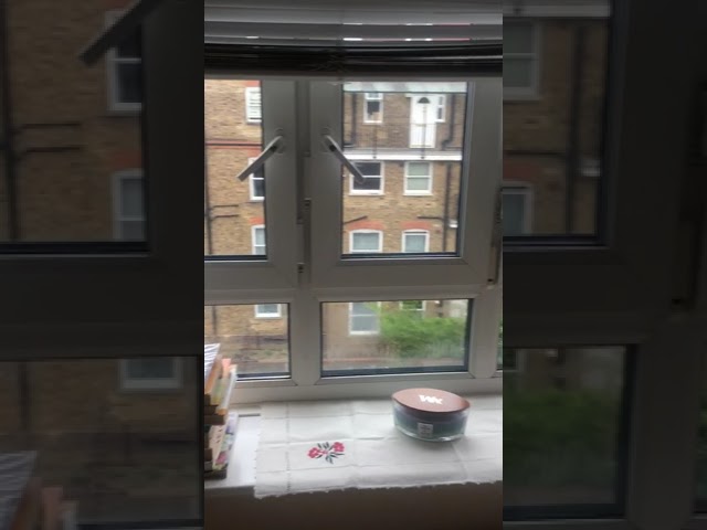 Video 1: