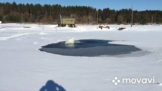 Спілка рибалок м.Шепетівка з турботою про біоресурси. Молодці !